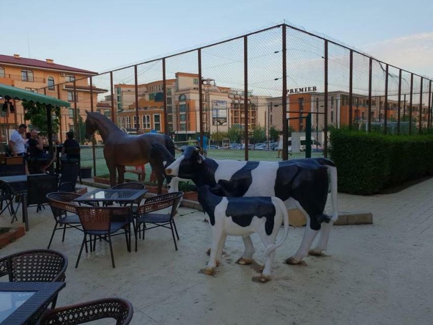 Appartamento Panorama Dreams Sveti Vlas Esterno foto
